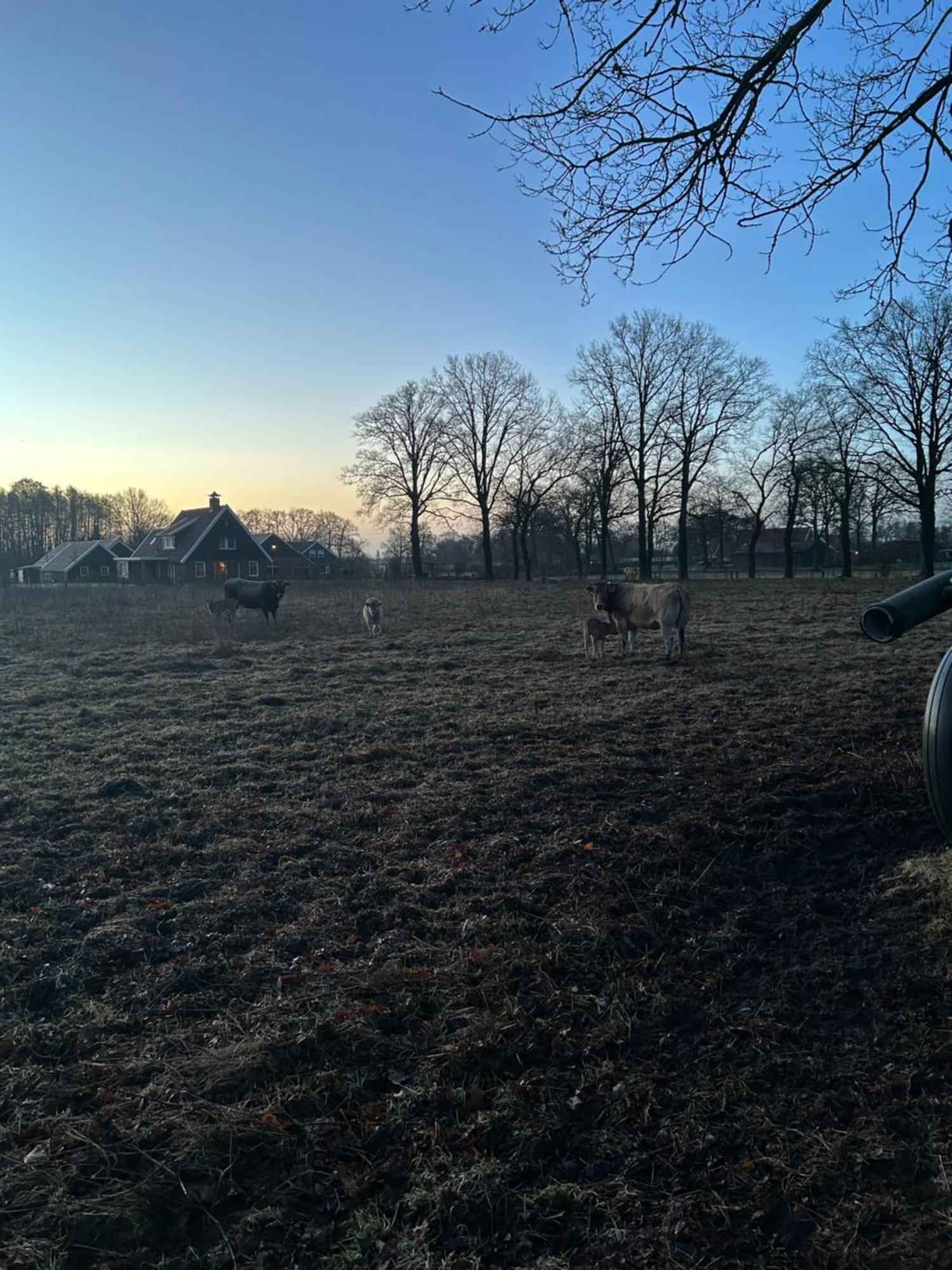 De Postelhoek B&B Oud-Ootmarsum Luaran gambar