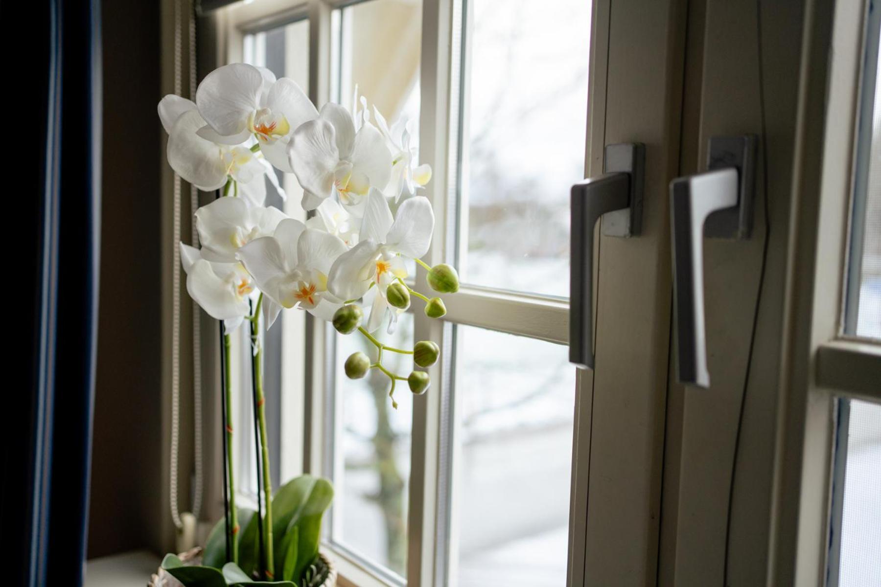 De Postelhoek B&B Oud-Ootmarsum Luaran gambar